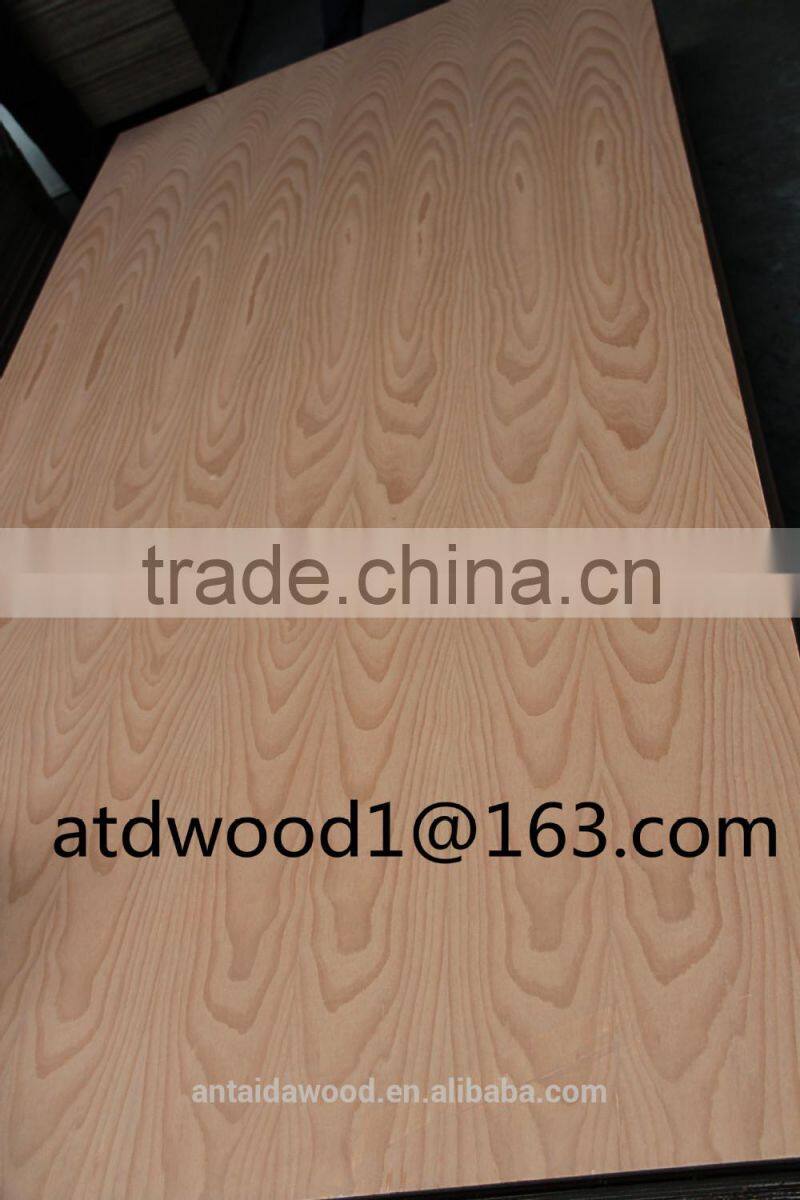 red beech plywood