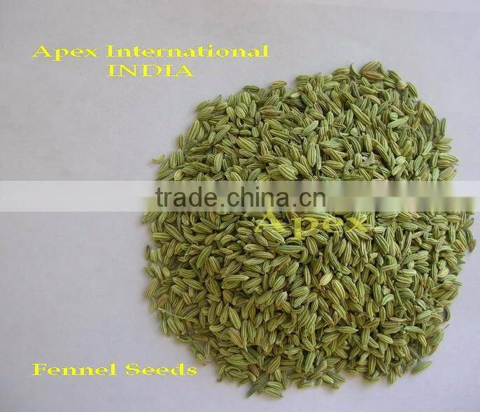 Apex Supplies Quality Foeniculum Vulgare Fennel / Foeniculum Vulgare / Fennel Seeds / Saunf