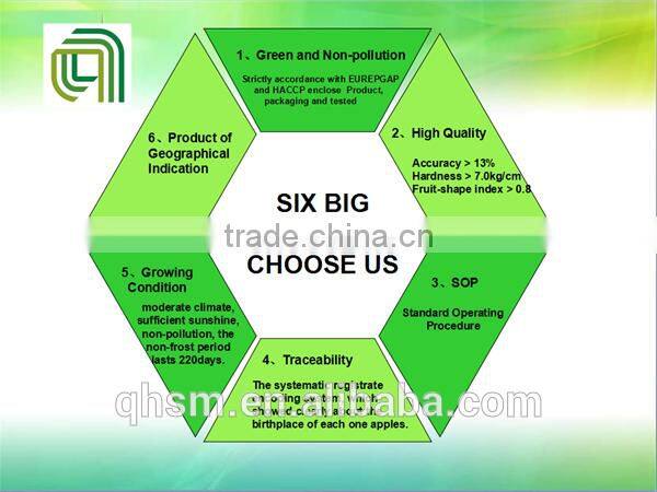 high quality light quarters walnut kernels market price