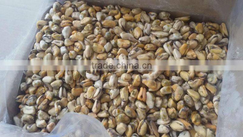 China seafood exporter frozen mussel boiled meat