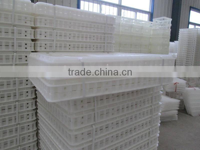 plastic poultry transfer box