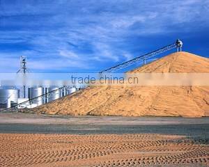 40 - 50t/h paddy rice belt conveyor for grain