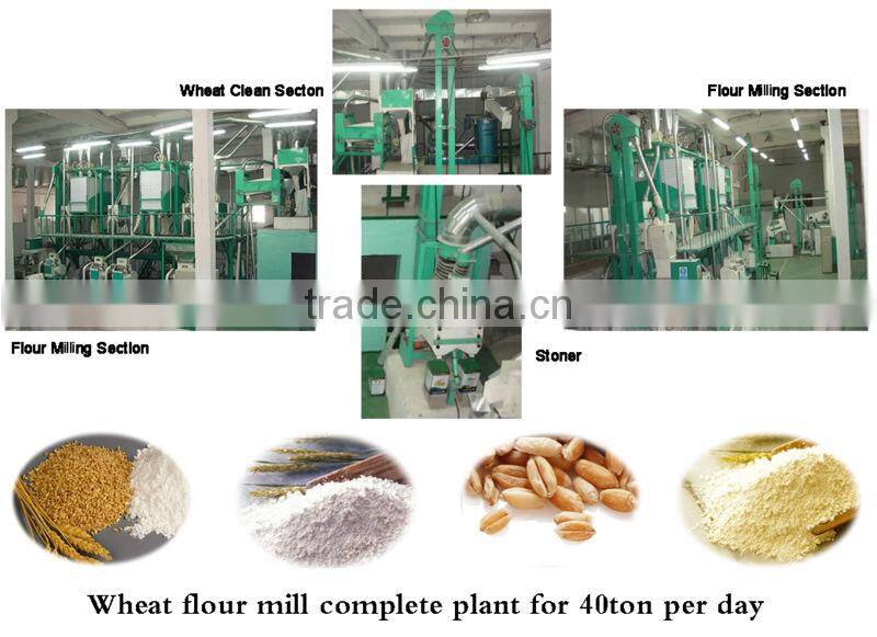 flour mill wheat processing equipments 5t/d~300t/d
