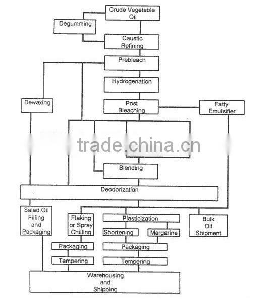 high reputation automatic cold oil press machine