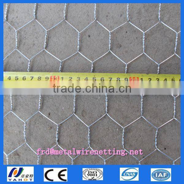Anping galvanized hexagonal wire mesh/ chicken wire / PVC coated chicken fence