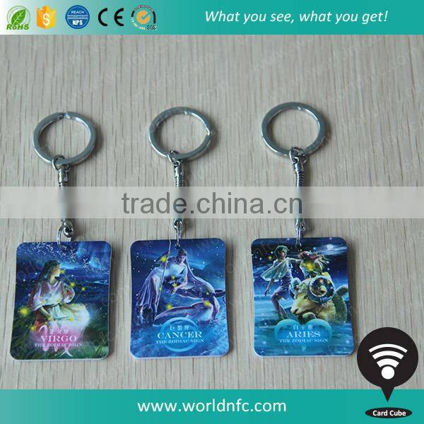 Professioanl Hot Selling Chip T5577 Epoxy card with Key Chain