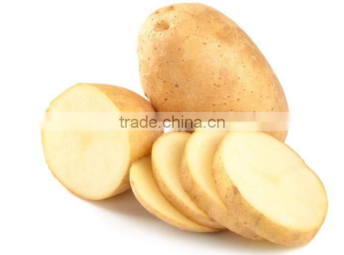 Cutting potato chip machine