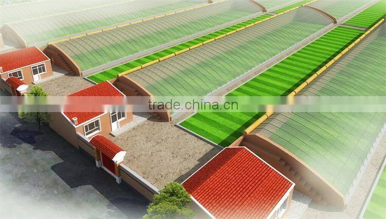 Low cost galvanized steel frame greenhouse