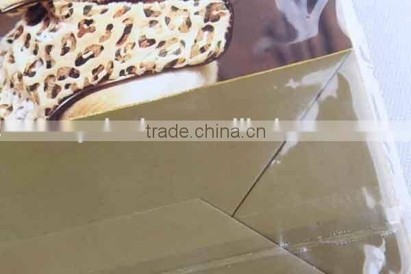 Foldable Gift Bag With dog's pictures/ Shopping Bag