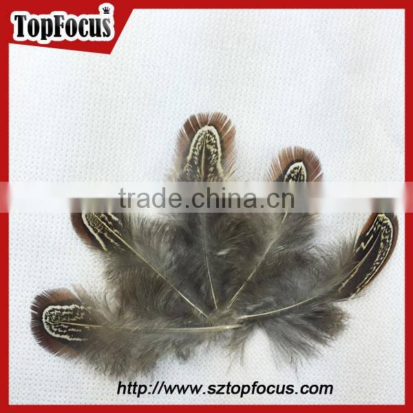 lower price natural synthetic pheasant feathers for carnival costumes