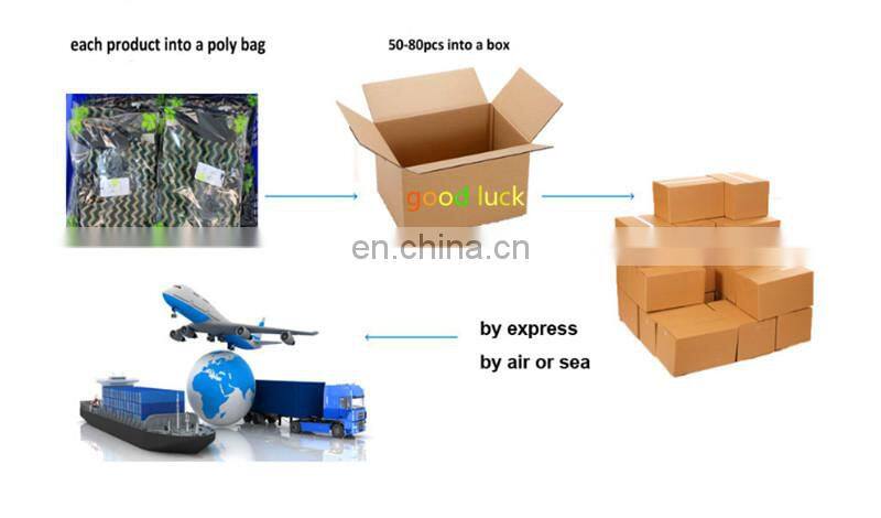 Fashion design patched long sleeve belted dress with front zipper