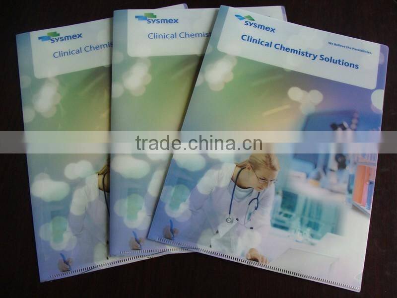 Custom printed PVC file folders A4 size, a3 file folder customized