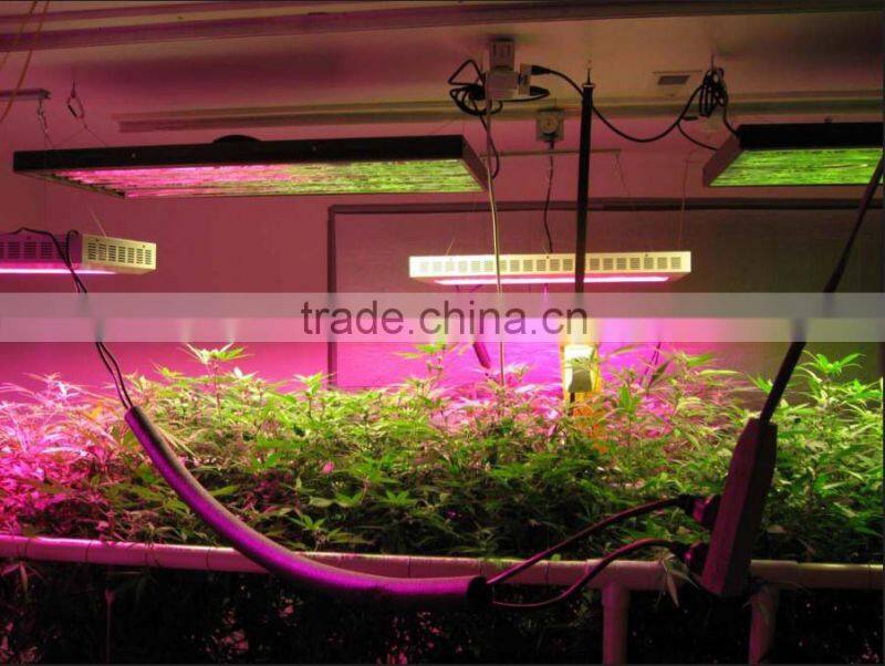 120 degree full spectrum indoor 450w led grow lighting