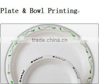 a Biodegradable Disposable Sugarcane Bagasse Ellipse Plate