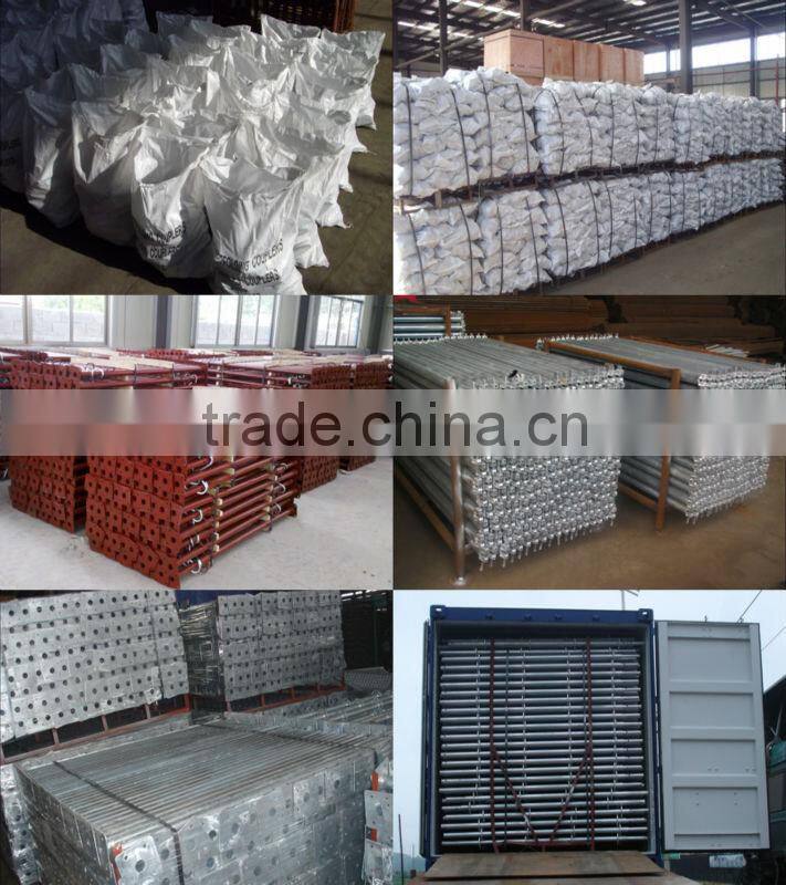 Scaffolding Formwork Accessories Anchor Nut