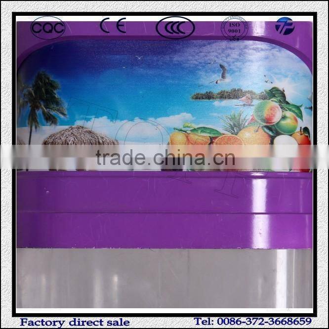 Commercial Electric Double Tank Slush Machine
