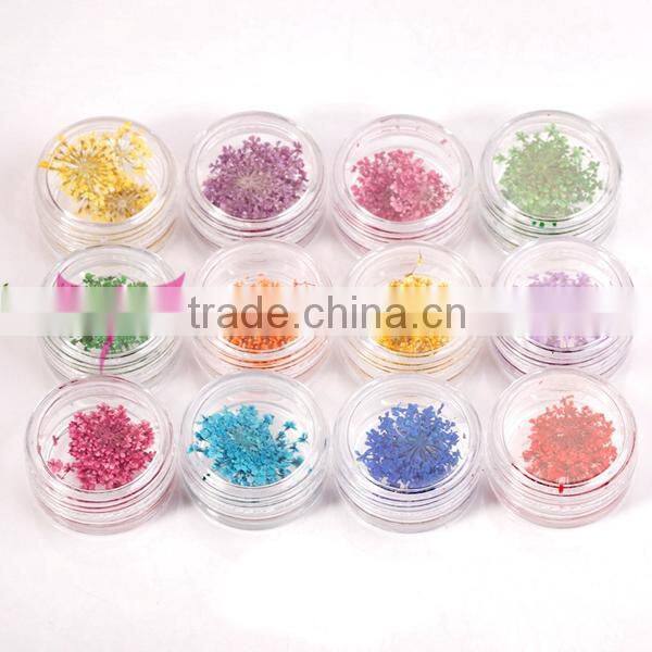 12 colors jar nail dry flower set,big nail art dry flower