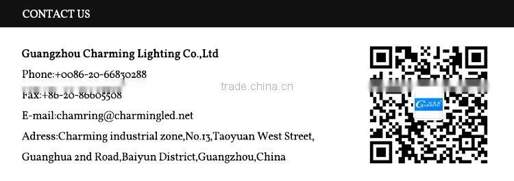 Outdoor Lighting Waterproof RGB LED Wall Washer with DMX Control