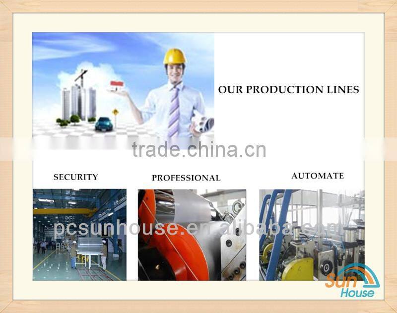 Polycarbonate Roofing skylight