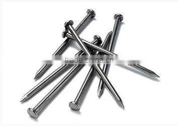 Polished Iron Nails ,Steel Common Nails For Furniture Anping Nail Price
