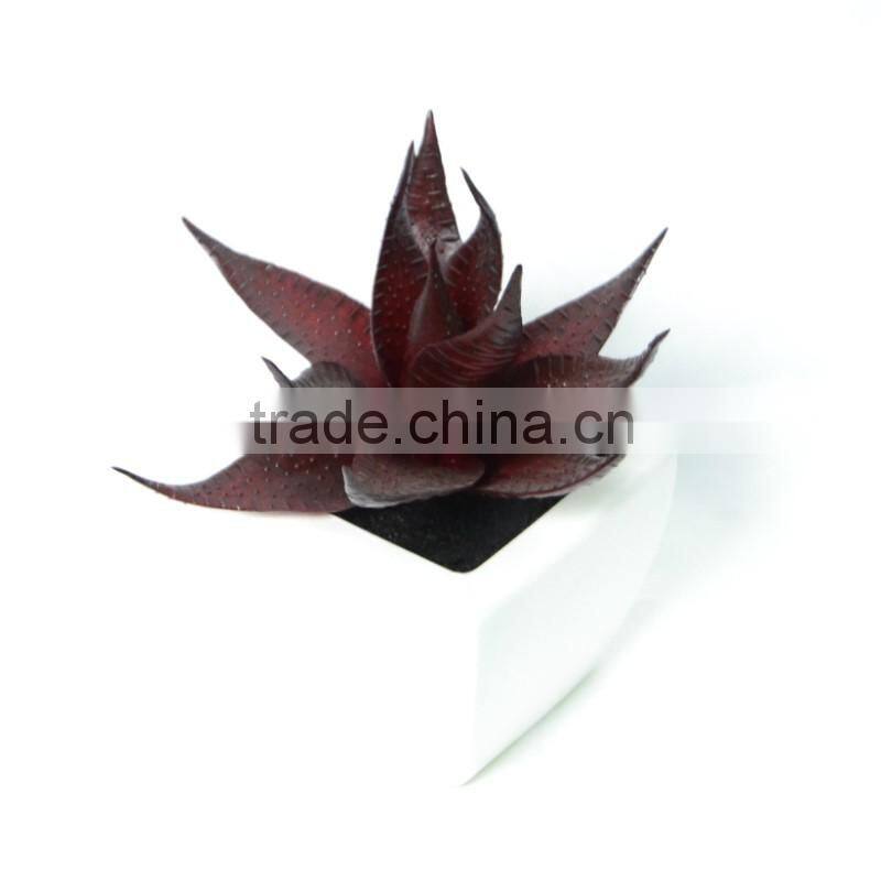 Spellbinding Assorted PVC Ceramic Succulent