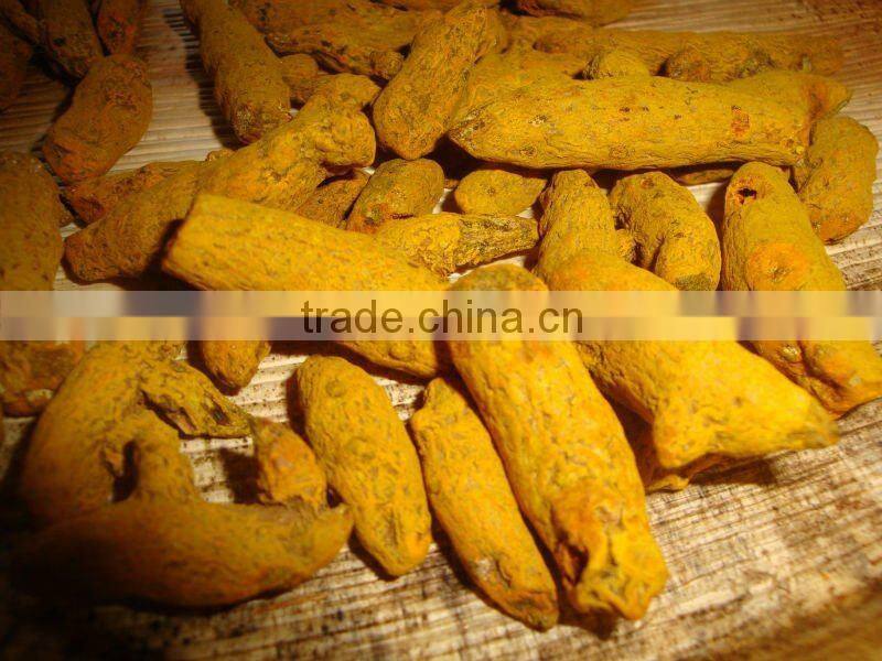 Excellent Grade Of Erode Turmeric Finger from India