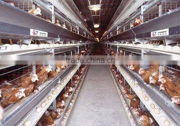 animal hansbandry disinfection battery operated sprayer machine