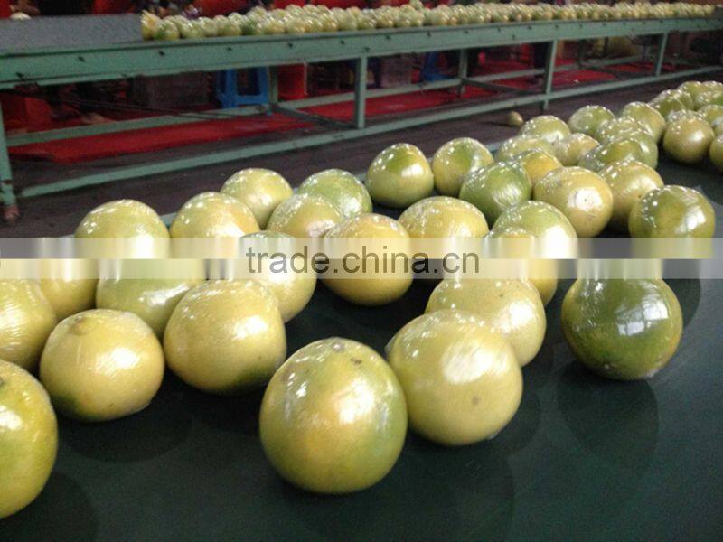 Fresh Chinese juicy red pomelo