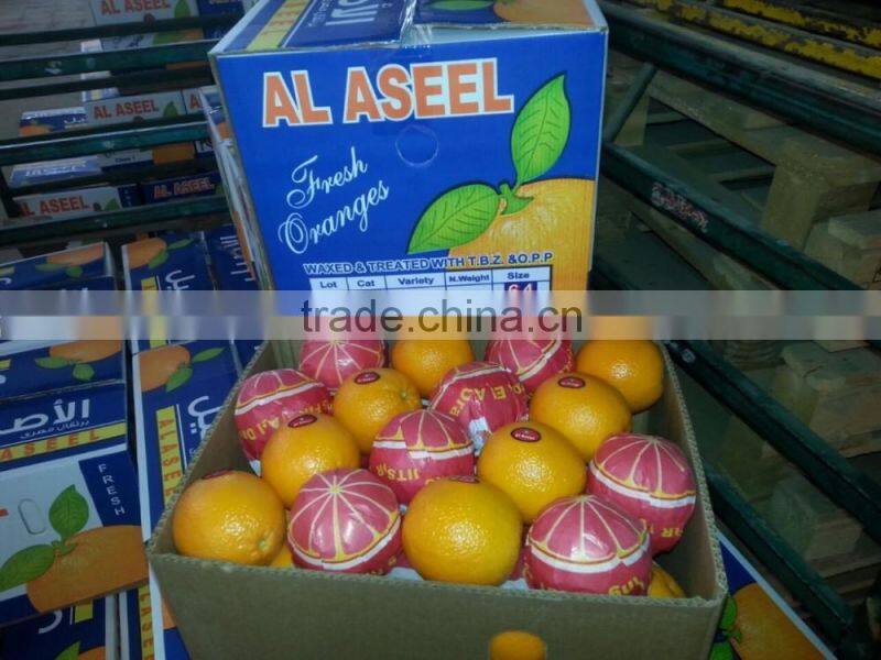 Pallets for Egyptian Oranges
