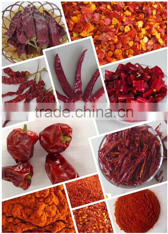 Exported Well-Chosen Certificated HACCP/HALAL Red Cutting Sanying Chilli