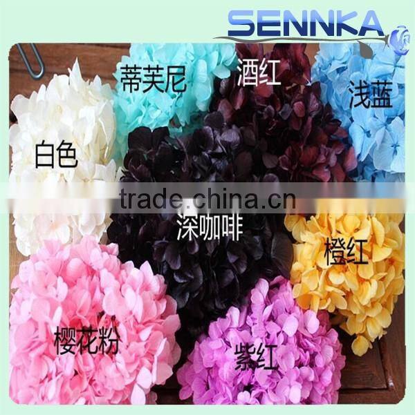 real natural purple color hydrangea preserved for flower arrangement
