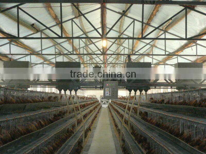 Layer chicken feeder
