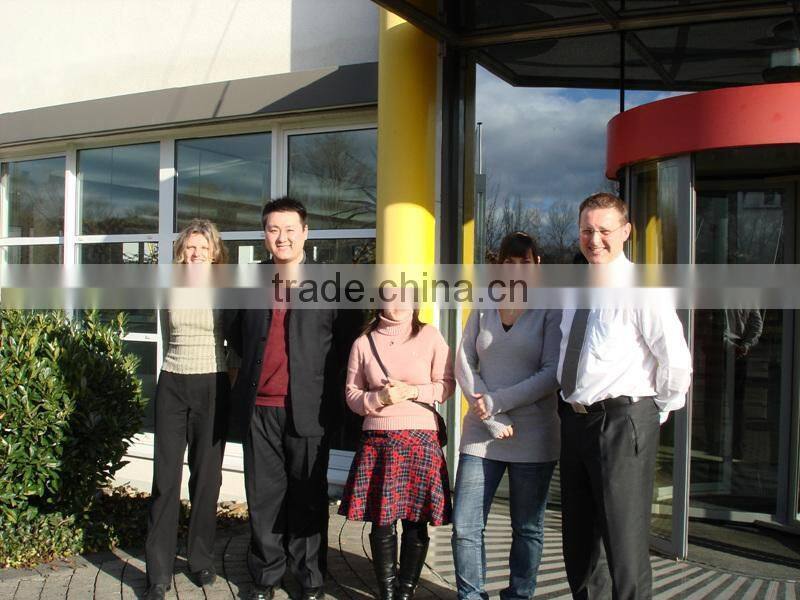 animal feed rice protein meal