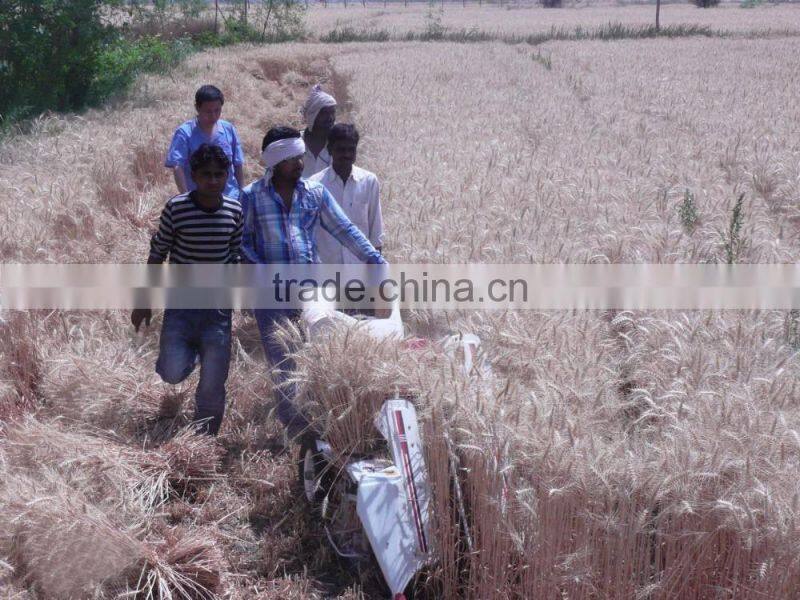 Agricultural mini wheat reaper binder