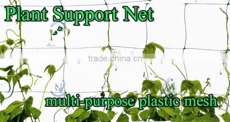 cucumber support net trellis netting in green white blue black color 8-10gsm