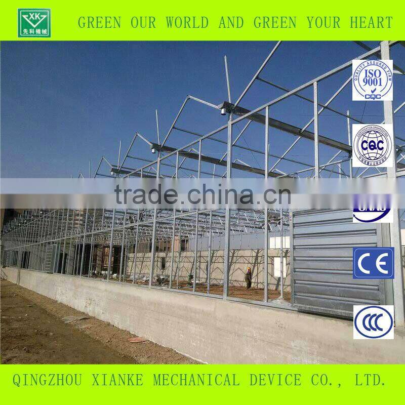 Multi-Span Seeding Greenhouse in Winter