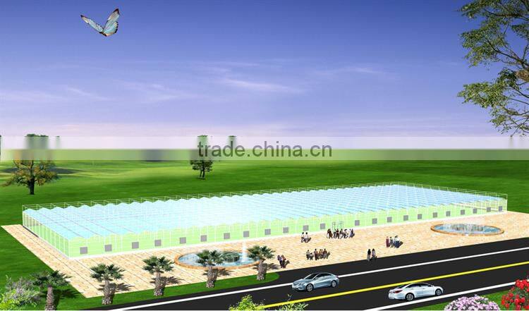 High quality commercial/agricultural used film covering greenhouse for sale