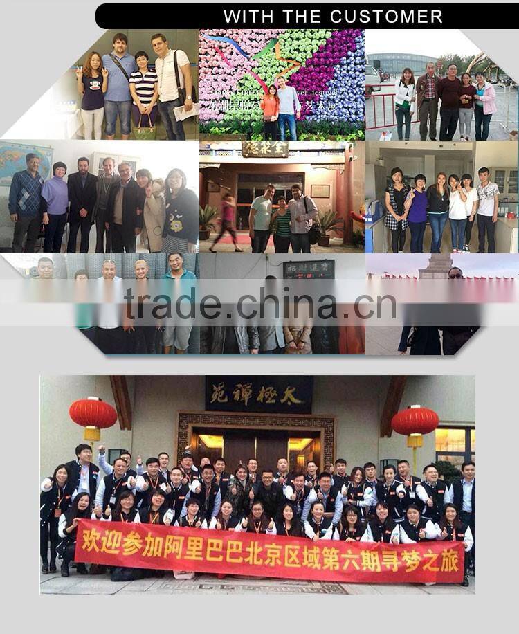 Cheap Galvanized Used Steel Fence T Post For Sale(Factory)