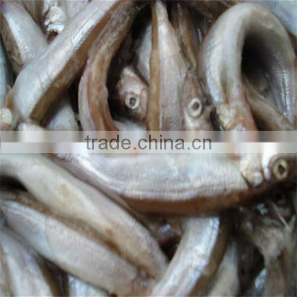 deep sea well taste or market fish and frozen seafood