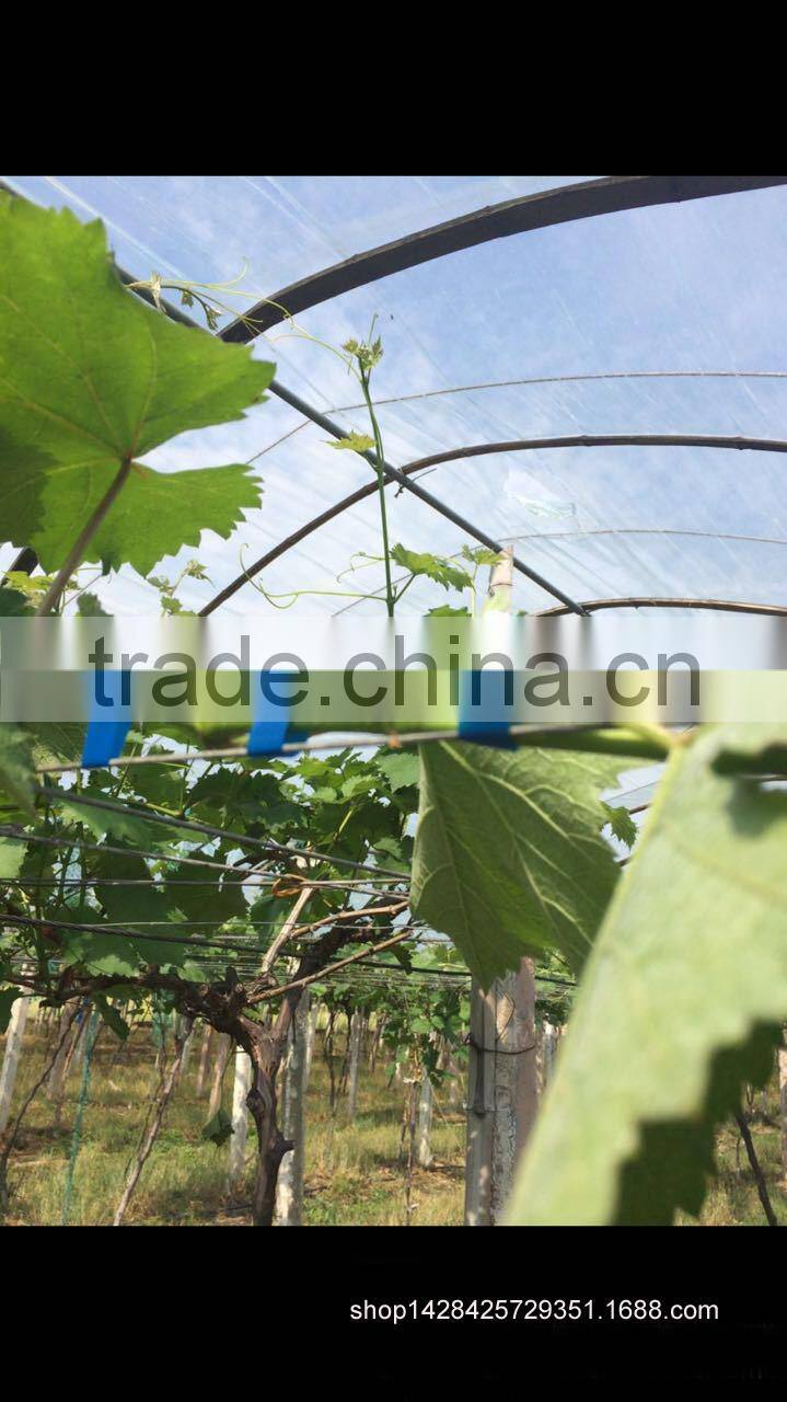 no scrap tape bander ,hand tying machine,wire galvanized, Wireless Vineyard, Vineyard