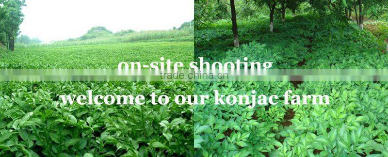 Hot Selling Halal Konjac Rice,konjac couscous