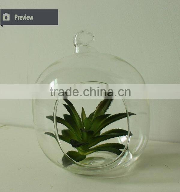 New home decor succulent art craft mini terrarium succulent plant