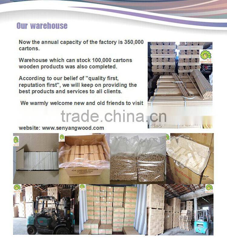 magnum and popsicle stick wood ice cream stick