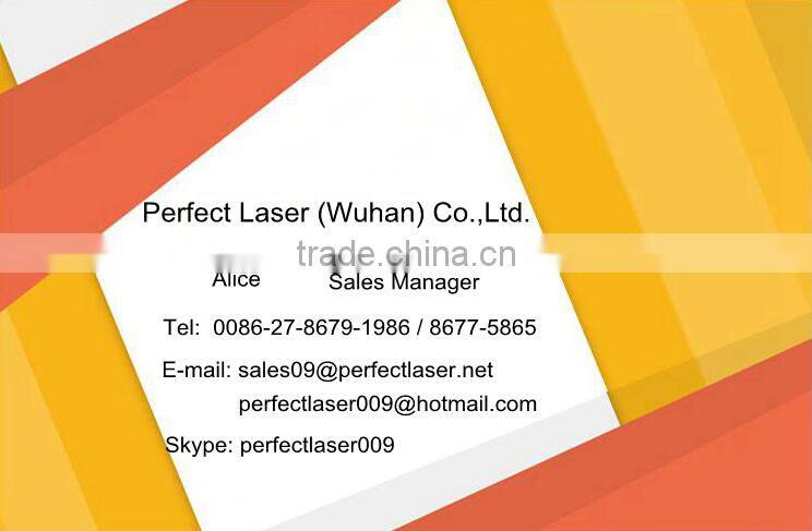 high accuracy aluminum number plate machine dot peen marking machine