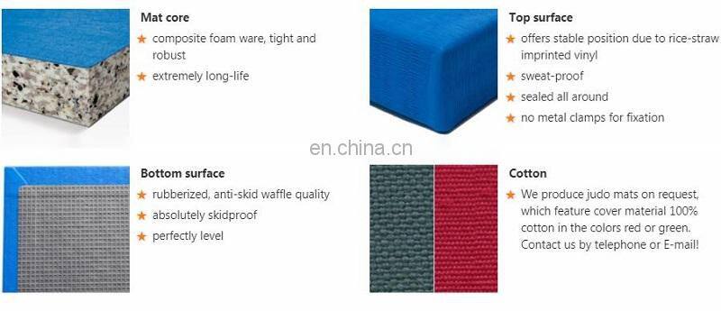 Style Arts Martial BJJ Judo Tatami Mat