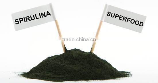 healthy spirulina powder for sale