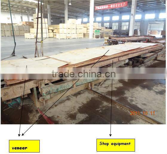 phenolic film faced plywood