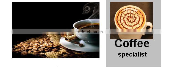 BAGF.KT1 KITSILANO steam generator high power coffee maker for restaurant