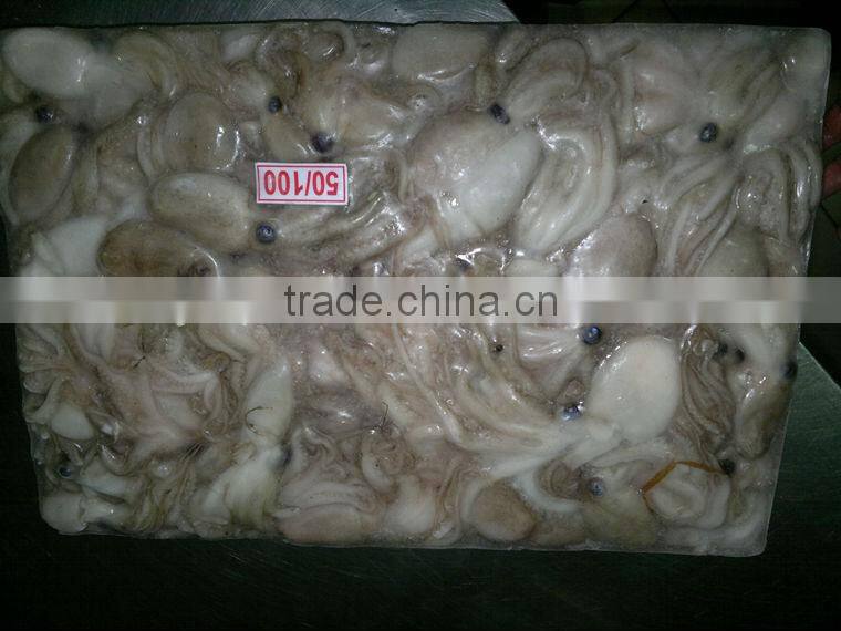 Frozen octopus fish