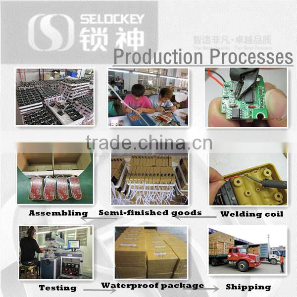 Made in China Free Samples 125KHZ EM4100 Access Control RFID Card